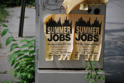  summer jobs